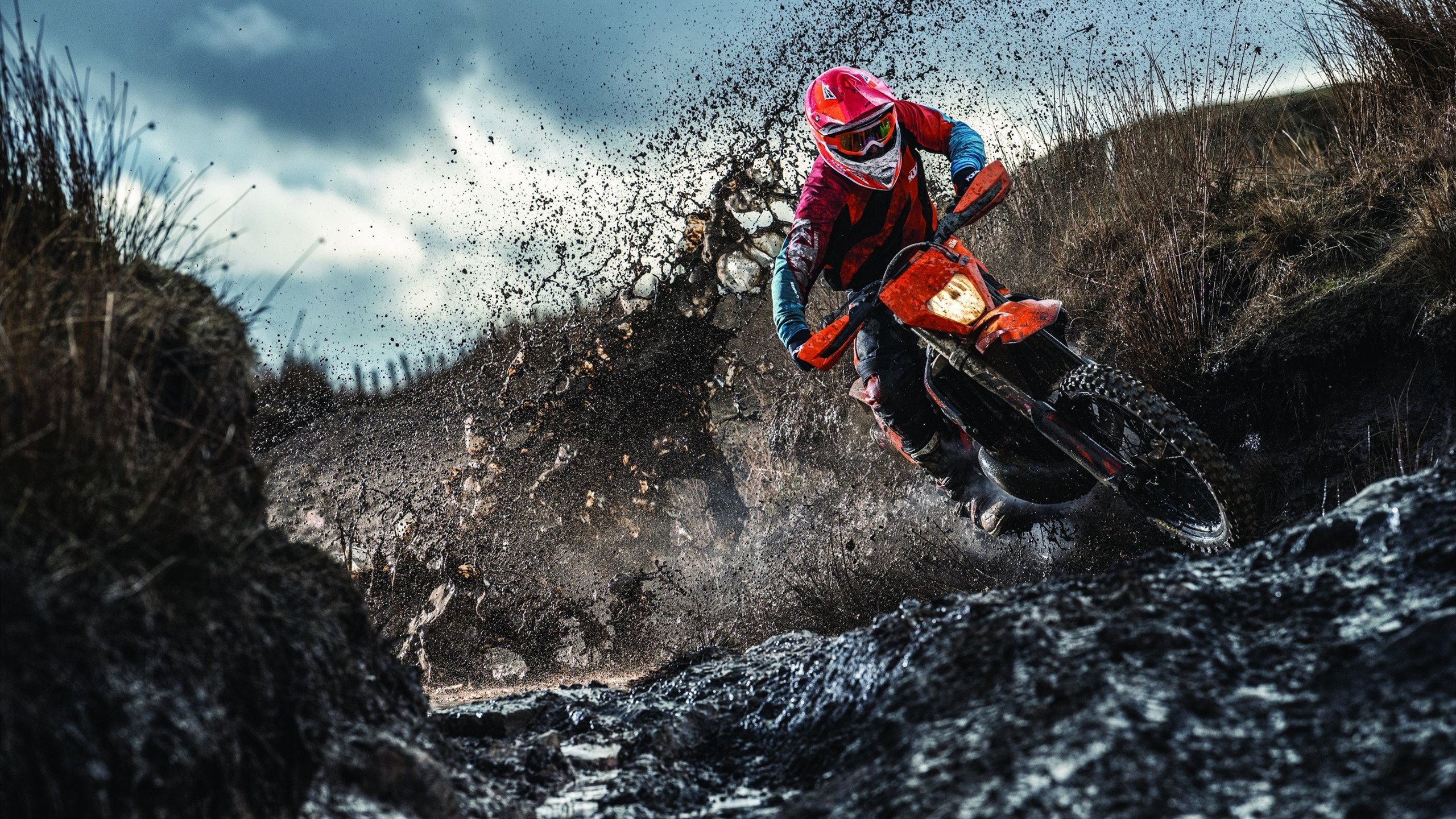 世界第9一轮游，向鹏到底怎么了？，向鹏是哪里人